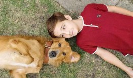 娱乐吃瓜酱送小狗