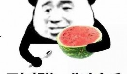 娱乐吃瓜酱我到哪里去找,揭秘娱乐圈幕后故事