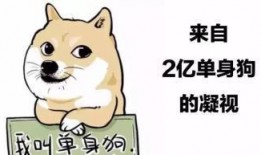 娱乐吃瓜君脱单冷知识