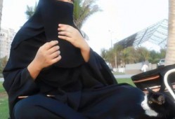 娱乐吃瓜君绯闻