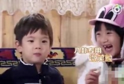 吃瓜娱乐圈八卦长视频,揭秘明星幕后故事，长视频带你领略八卦魅力