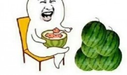 在哪吃娱乐圈的瓜