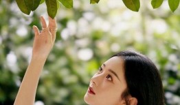 娱乐圈吃瓜50条