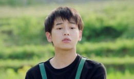 爱豆吃瓜娱乐酱汪东城,爱豆吃瓜娱乐酱，揭秘娱乐圈幕后故事