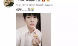 易烊千玺吃瓜娱乐视频,娱乐视频引发网友热议