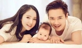 爱娱乐的吃瓜桦,吃瓜桦带你揭秘娱乐圈那些不为人知的幕后故事