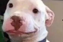 娱乐圈吃瓜微信公众号,吃瓜群众必看幕后真相！