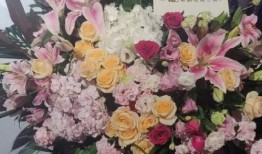 娱乐吃瓜酱爷爷花篮,揭秘娱乐圈背后的温馨故事