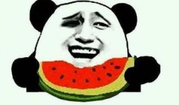 娱乐吃瓜酱盘点猴哥外号,娱乐吃瓜酱带你领略孙悟空的多面风采