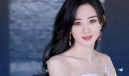 娱乐吃瓜离婚女星,揭秘离婚女星背后的故事