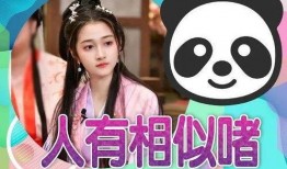 娱乐圈吃瓜明星代号小黄鸭,娱乐圈神秘明星的华丽蜕变之路