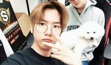 娱乐吃瓜酱特殊男孩,揭秘“特殊男孩”背后的故事与魅力