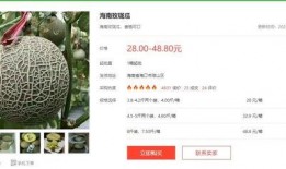 娱乐吃瓜公众号推荐,明星们的幕后故事，吃瓜群众必看！