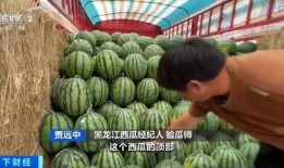 娱乐吃瓜酱紫金玫瑰,娱乐吃瓜界的璀璨明珠