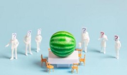 吃瓜娱乐百科大全,揭秘娱乐圈背后的秘密与趣闻