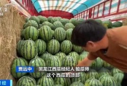 娱乐吃瓜酱爷爷花篮,揭秘娱乐圈背后的温馨故事