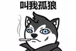 娱乐吃瓜君脱单冷知识