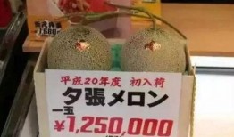 吃瓜娱乐有收益吗,揭秘网络时代收益新途径