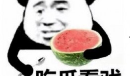 娱乐吃瓜酱考试玄学,娱乐吃瓜酱的考试奇遇记