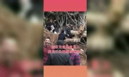 吃瓜星球娱乐,揭秘娱乐圈幕后故事与热点事件