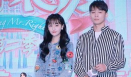 吃瓜娱乐圈小说合集,娱乐圈小说合集大揭秘