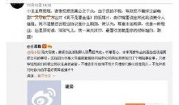 娱乐公司吃瓜事件视频播放,视频播放揭秘幕后真相