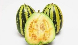 g718sx娱乐吃瓜,揭秘吃瓜群众的狂欢盛宴