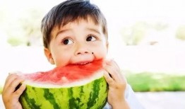 吃瓜娱乐社寄生虫,深度解析寄生虫背后的社会现象与人性探讨