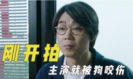 娱乐吃瓜君横屏,横屏揭秘娱乐圈那些事儿
