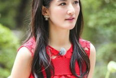 娱乐吃瓜谢娜是谁啊,娱乐界吃瓜群众的“开心果”